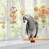 Other Bird Supplies 15985 Pcs Chewing Toy Funny Cotton Rope Parrot Bite Resistant Cockatiels Parakeet Training Accessories Cage 230626