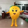 Wysokiej jakości urocze loquat Mascot Costume Motyw Fancy Dress Ad Apparel Dress