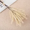 Dried Flowers 6pcs Real Wheat Ear Flower Decoration Natural Rabbit Grass for Wedding Party DIY Craft Bouquet