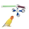 Toys de sucção Copas de pet birds papagaio banheira chuveiro barra de plataforma dupla bastão de pata de moagem estação de suporte interessante