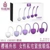 SHD-S011CHERRY Cherry Women's Exercise Balls (1 5) Private Area Firming Repair 75% Off Online sales