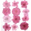 Faux blommor grönare 120 st blandat trycket torkat blomma naturliga körsbärsblommor herbarium epoxi harts smycken gör makeup ansikte nagelkonst hantverk diy 230627