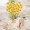 Искусственная цветочная зелень Натуральные сухоцветы Craspedia Billy Balls Flowers Billy Buttons Цветочный букет для цветочных композиций Wedding Home Party Deco 230627