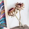 Faux Floral Verdure Naturel Fleurs Séchées De Luxe Afrique Protea Cynaroides Centres De Table Décoration De Bureau Ferme Maison Indie Room Decor Cadeaux 230627