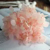 Dried Flowers Preserved Hydrangea Ellipse Leaves Office Decor Crystal Glue DIY Scented Candles Material