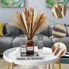 Decorative Flowers 65Pcs Small Dried Flower Pampas Grass Arrangement Natural Reed Tail Bouquets Feathers For Wedding Home Style Boho