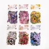 Adesivos adesivos 12 pacotes LOTE Borboletas amo flores série linda mensagem PET adesivo 230627