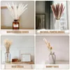 Fiori decorativi 30pcs Bouquet essiccato Reed Pampas Erba Decorazione di nozze Anno Natale Flores Artificiale Mariage Home Decor