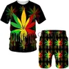 Mannen Trainingspakken Zomer 3D Plant Giftige Weed Gedrukt heren T-shirts Shors Set Mannelijke Sportkleding Trainingspak Korte Mouw Mannen Kleding Pak x0627