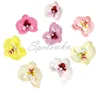 Dekoratif Çiçekler Çelenkler 25 Adet Yüksek QualityButterfly Orkide Kafa Phalaenopsis Yapay Düğün Buket DIY Hediye Kutusu Parti Ev Dekor Sabun Çiçek 230626