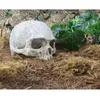 Dekorativa föremål Figurer Harts Easter Island Head Bone Skull Statue for Lizards Terrarium Reptile Hide Cave Aquarium Fish Tank Landscape Decor Ornament 230626