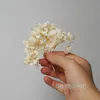 Dried Flowers Preserved Hydrangea Ellipse Leaves Office Decor Crystal Glue DIY Scented Candles Material