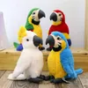 Pluszowe lalki 25 cm realistyczne Parrot Pluszowe zabawki Soft Symulacja Psittacidae Makaw nadziewana zabawka słodka dzikie zwierzęta ptaki lalki dla dzieci prezent 230626