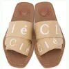 Designer Womens Sandaler och tofflor Woody Flat Anti Slip Casual Cross Woven Letter Shoes