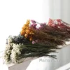 ドライフラワー10g ozothamnus diosmifolius decoration diy clystal glue handmadeキャンドルエポキシ保存