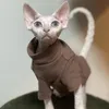 Odzież Duomasumi Sphynx Cat Ubrania Koszulka Babyfabryka Dna Włosienie Bosta Kostium Sphynx Apparel Farless Cat Apparel