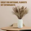 Fiori decorativi 30pcs Bouquet essiccato Reed Pampas Erba Decorazione di nozze Anno Natale Flores Artificiale Mariage Home Decor