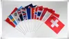 Gepersonaliseerd ontwerp Logo Kleine Mini Stick Flag Custom Hand Held zwaaiende vlag met plastic paal