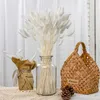 Dried Flowers 120Pcs/Lot Rabbit Bunny Grass Natural Bouquet Lagurus Ovatus Home Wedding Christmas Decoration