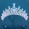 Hair Clips Fashion Silver Color Wedding Tiara Purple Crystal Bridal Crowns Rhinestone Pageant Diadem Veil Tiaras Head Jewelry