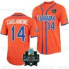 Florida Gators 2023 College World Weries Baseball Jersey Wyatt Langford Jac Caglianone Hurston Waldrep Josh Rivera Cade Fisher Ty Evans Bt Riopelle Preves NCAA