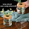 Planters Pots Creative Mini Hydroponic Plants Flower Pot Home Decor Transparent Glass Abletop Green Plants Pots Home Living Room Decor