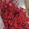 Gedroogde bloemen Real Forever Lover Grass Crystal Natural Fresh Conserved Wedding Party Arrangement Tak voor Home Decor