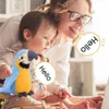 ElectricRC Animals Talking Parrot Electronic Plush Toys Speaking Record Repeats Cute Soft Stuffed Animal Bird Doll Children Kids Baby Gift 230627