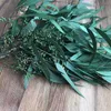 Dried Flowers 100g Natural Craft Preserved Eucalyptus Branches Millet Leaves Bouquet DIY Garland Wedding Decor