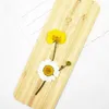 Dried Flowers 6-9cm/16pcs Natural color Pressed buttercup with Eternal flower for DIY Bookmark Gift Card christmas candlestick decoration