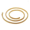 Catene 2/3/4 / 5mm Wide Simple Chunky Catena in acciaio inossidabile Collana da uomo Accessori in metallo Hip Hop Girocollo