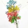 Сухоцветы 12 шт., прессованные, как деревья, цветы для DIY, свадебные приглашения, привитая закладка, открытка, подарок, украшение в виде корпуса телефона