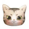 Almofadas de Pelúcia Almofadas 40cm Animais Kawaii Cabeça de Gato Recheada Pequena Almofada Decoração Presentes para Crianças 230628