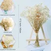 Suszone kwiaty naturalne zachowane gipsophila Baby's Baby Flower DIY DIY Wedding Buquet Photo Photo Dekoracja Dekoracja pokoju