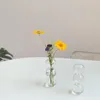 Vases Flower Vase For Nordic Style Home Decor Glass Terrarium Table Ornaments Dried Small