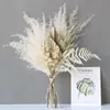 Сухоцветы натуральные пальмовые листья травяной букет высокого качества цветок невесты свадебный декор аксессуары для дома DIY ремесло