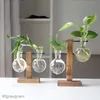 Sadzi doniczki wazony roślinne hydroponiczne vintage szklane doniczka przez przezroczystą roślinę drewniane półki roślinne stołowe domek bonsai wystrój