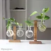 Planters POTS Växtvaser Hydroponic Vintage Glass Flower Pott Transparent växtkruka Trä Växthyllor Tablett Hem Bonsai Decor