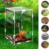 Reptile Supplies Assembled Acrylic Terrarium Habitat Breeding Box for Spider Lizard Frog Small Pet with Cover Supply 230627