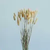 Dried Flowers Bunch Natural Flower Gold Balls Rabbit Grass Bouquet Yellow For Room Party Artificial Decorations