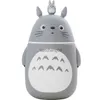 Cartoon Totoro Glass Tea Cup Portable Water Bottle Mug Double Heat-resisting Lovely My Totoro Student Kid Mug with Lid Drinking L230620