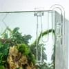 Andra akvarium Fish Clear Glass Lily Pipe Outflow and Skimmer Inflow med Sug Cup 1m 17mm för planterat Tank Aquatic Filter System 230627