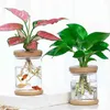 Plantadores potes mini vaso de flores hidropônico decoração para casa vidro transparente sem solo vasos de plantas verdes pote para decoração de casa