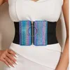 Riemen Luxe Riem Corset Mode Eenvoudige Elasticiteit Bundel Taille Brede Dames Retro Tailleband Stropdassen Decoratieve Shirt Rok