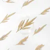 Dried Flowers 5-8cm/12pcs Silver birch leaf pressed flower embossing real plant drop glue phone case diy material dried bride makeup
