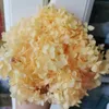 Gedroogde Bloemen 10 g/partij Hoge kwaliteit Geconserveerde Anna Hortensia bloem Natuur Bloemhoofd voor DIY geschenkdoos Echte Eeuwige Bruiloft decoratie