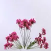 Dried Flowers 60pcs Pressed Several Ammi Majus Flower With Stalks Plants Herbarium For Times Gems Jewelry Pendant Rings Making