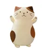 Plush Pillows Cushions Arrive 45cm Cute Soft Long Cat Boyfriend Toys Stuffed Pause Office Nap Sleep Pillow Cushion Gift Doll for Kids Girls 230628