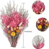 Torkade blommor naturliga blommor bukett babys andas tusensköna lavendel bunt blommor arrangemang hem bröllop bord gåva