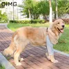 Köpek Giyim OIMG Pet Diz Koruma Toz Ve Aşınma Büyük Orta Köpekler Eklemler Golden Retriever Dirsek Giyim